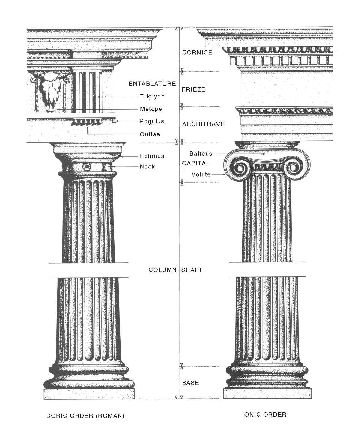 column-capital-national-dictionary-of-building-plumbing-terms